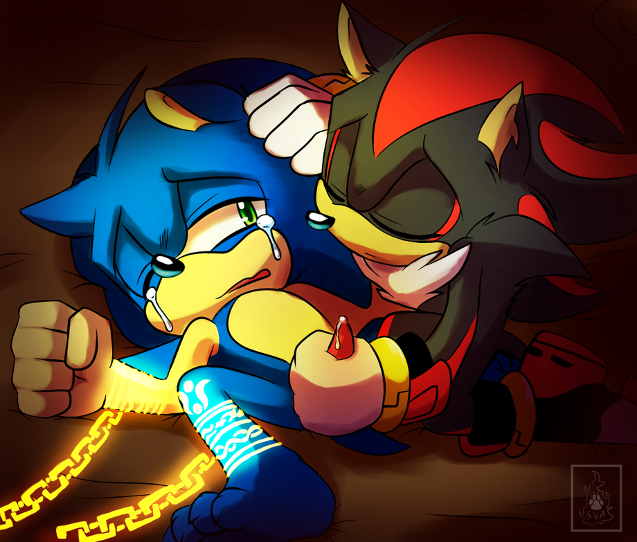 Ychan - g - sonic and (very good) friends - sonic