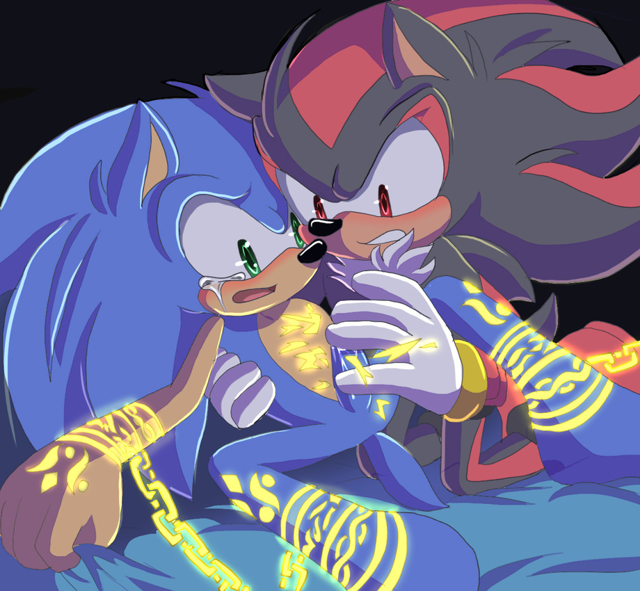 Ychan - g - sonic and (very good) friends - sonic