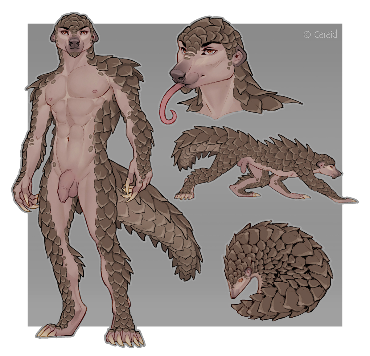 Ychan - r - pangolins - 132494