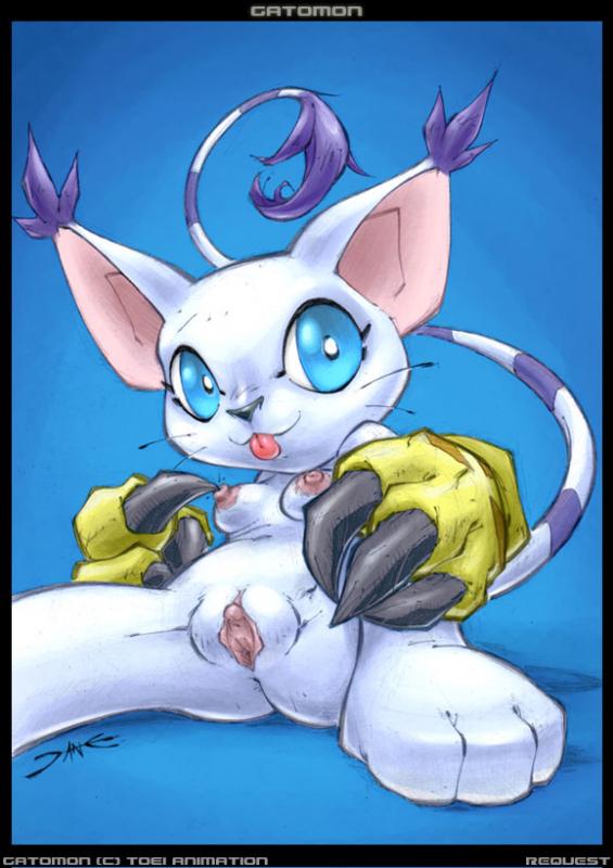 Ychan - f - gatomon - 13254