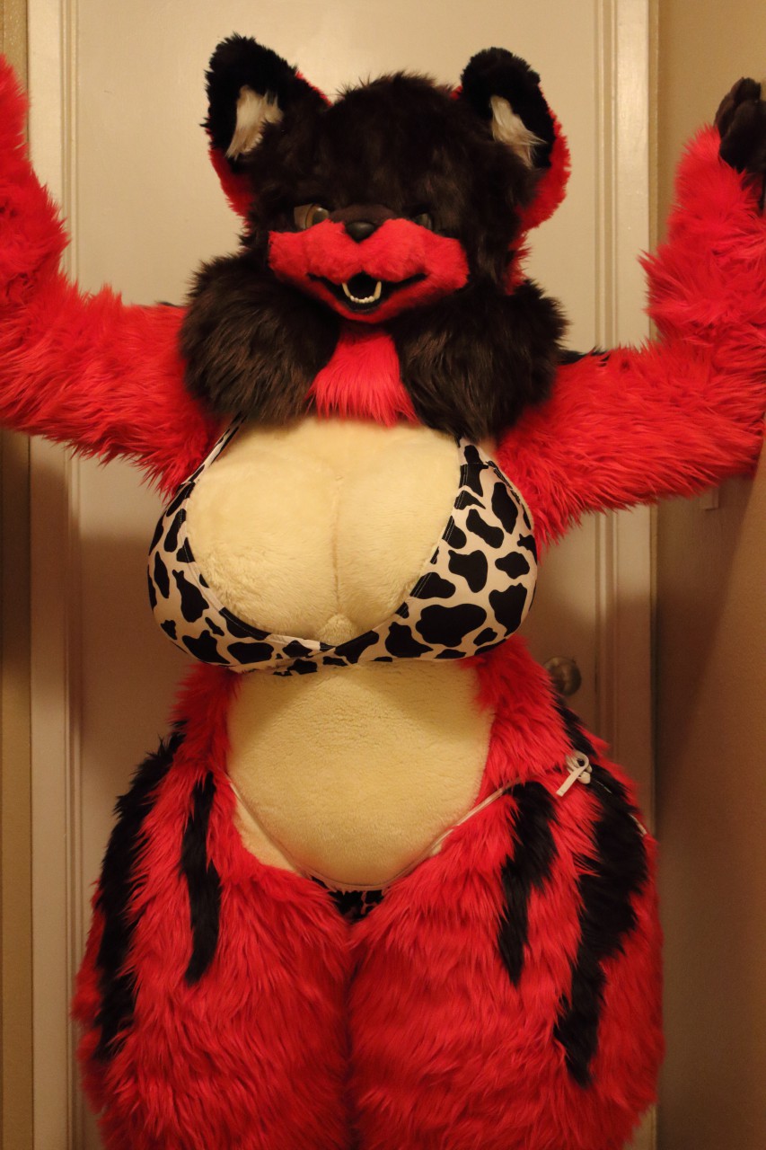 Ychan - rl - female fursuits 2011 - 133866