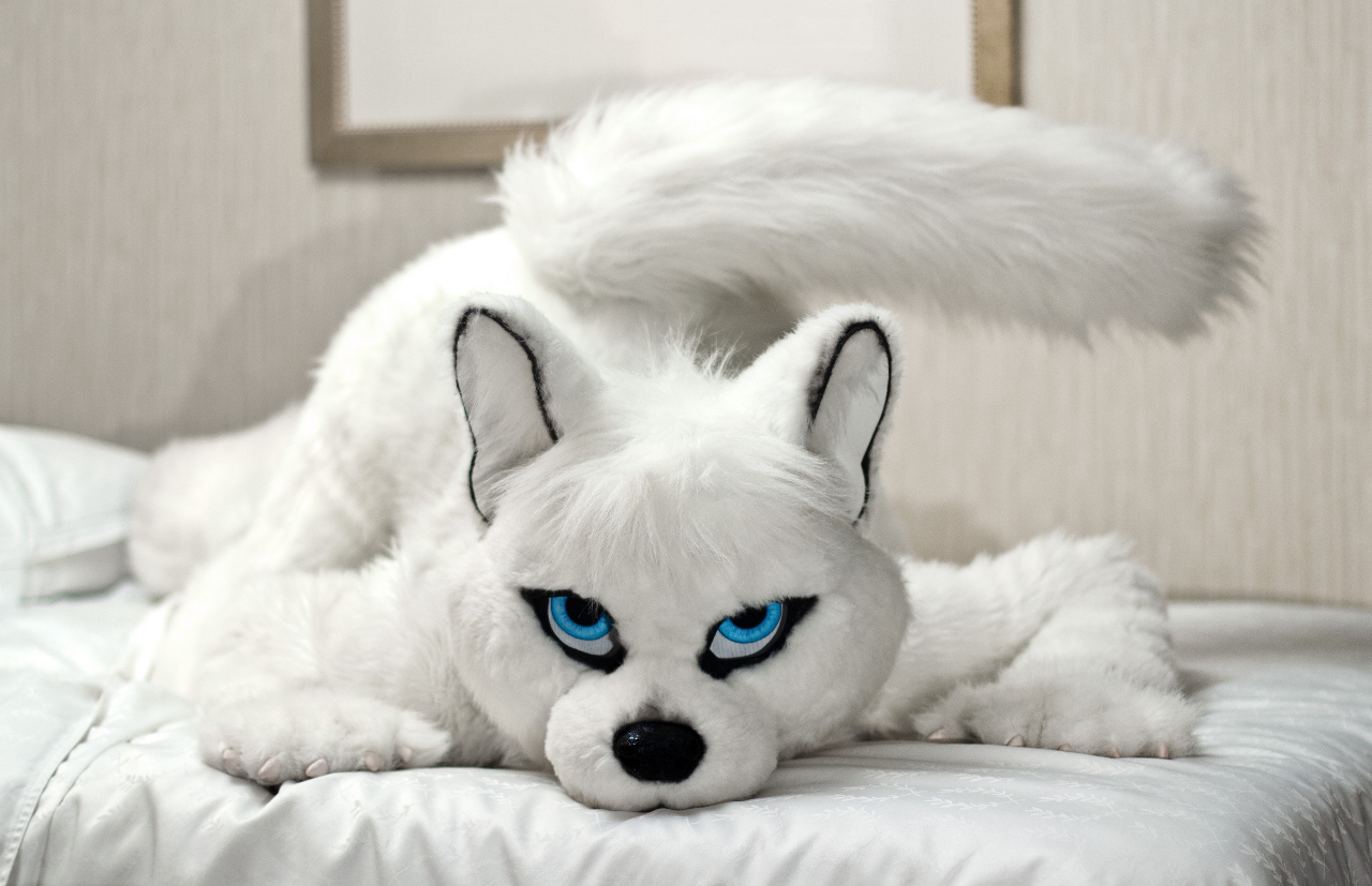 Ychan - rl - female fursuits 2011 - 136304