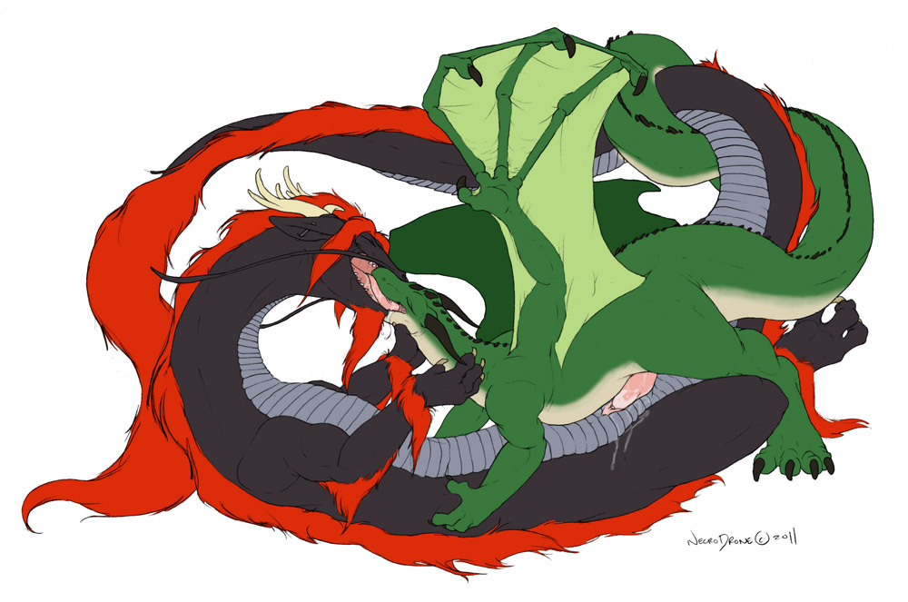Ychan - s - dragons - 137179