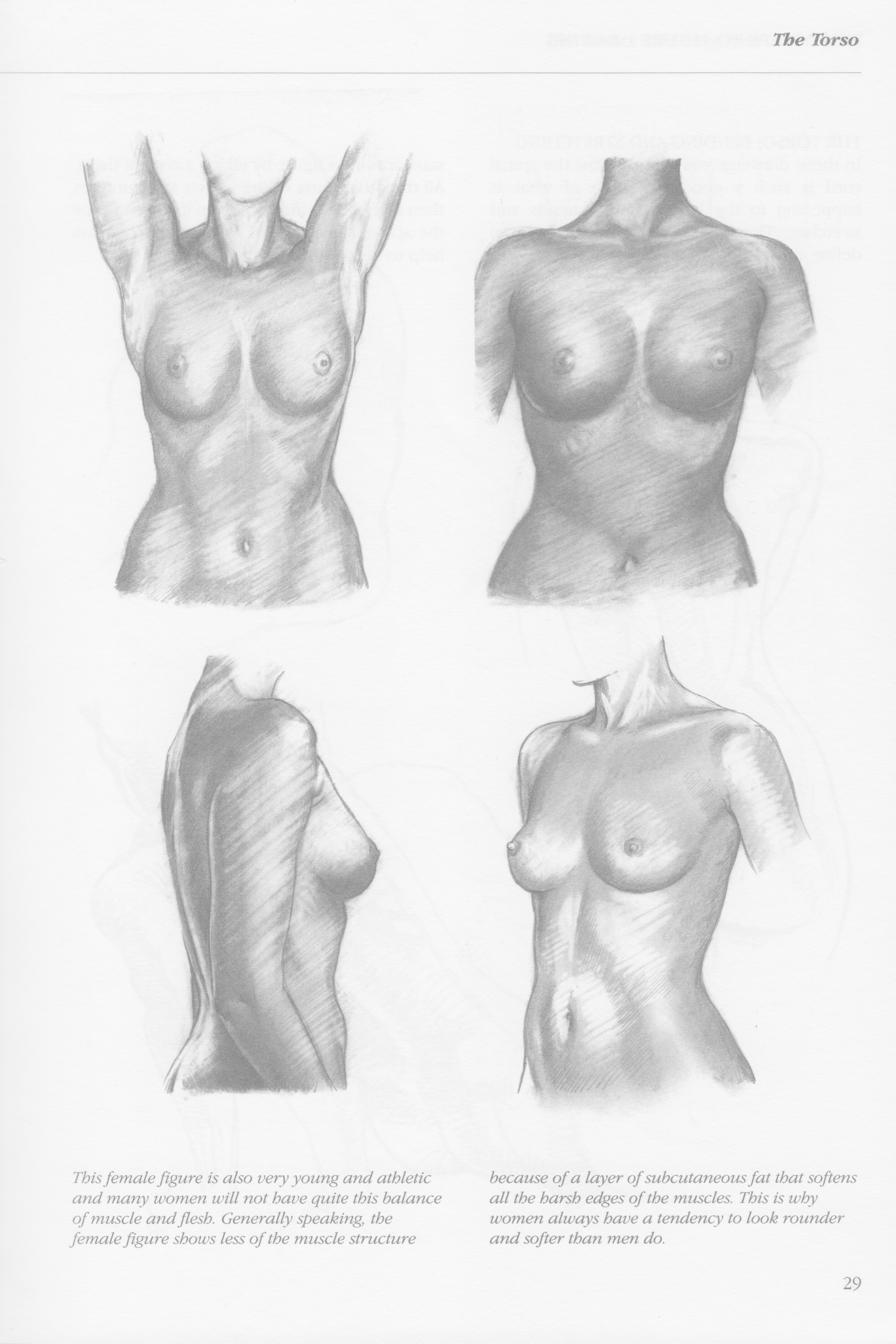 Ychan - r - figure drawing - 137289