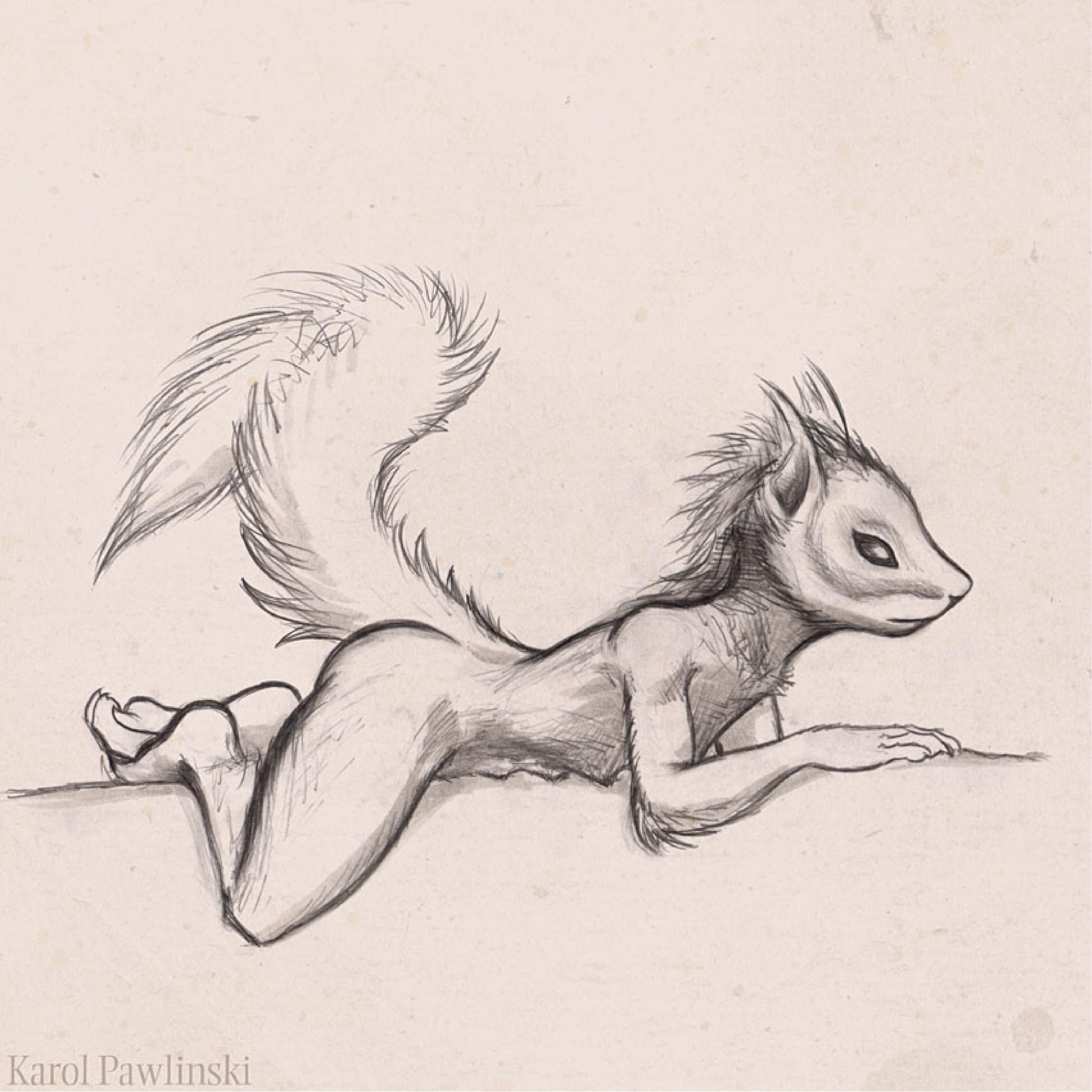 Ychan - c - squirrel - 143117