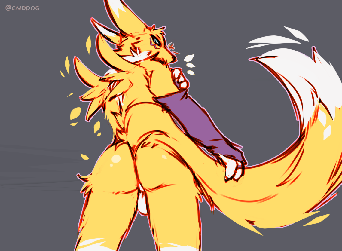 Ychan - f - renamon - 145458