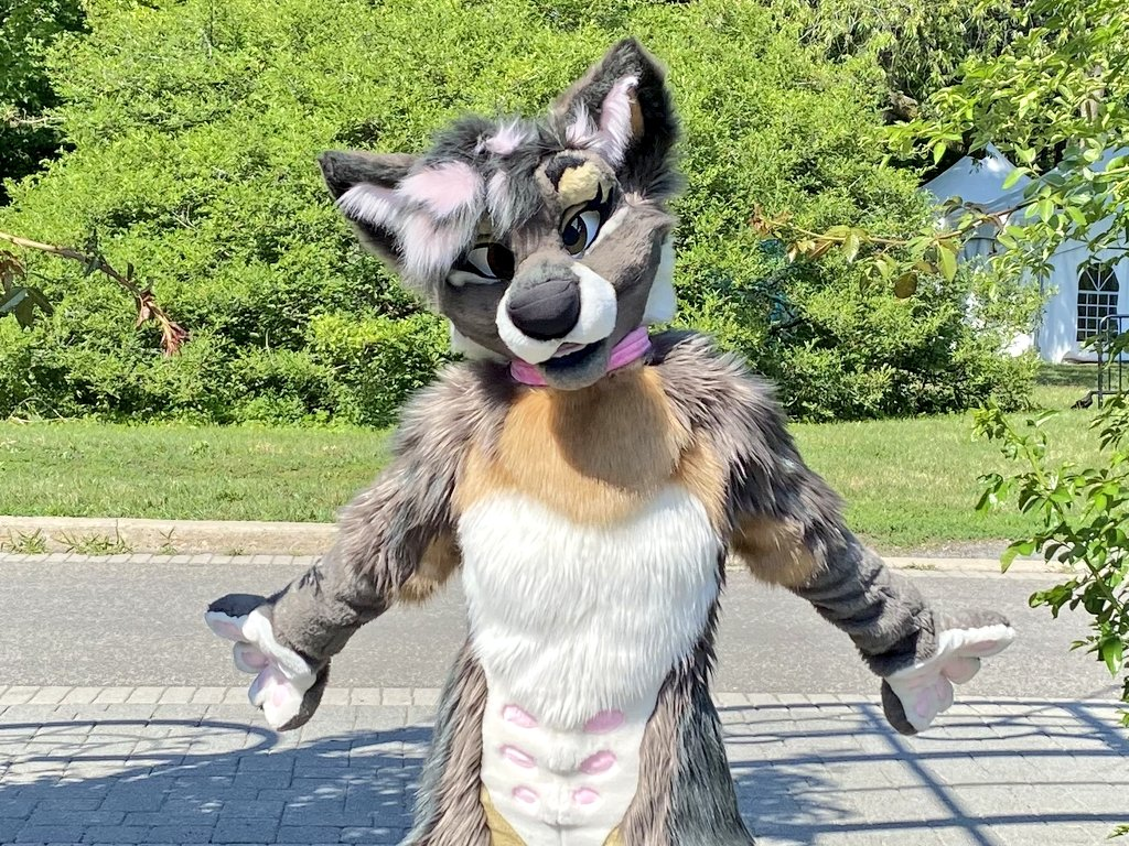 Ychan - rl - random fursuits - 145692