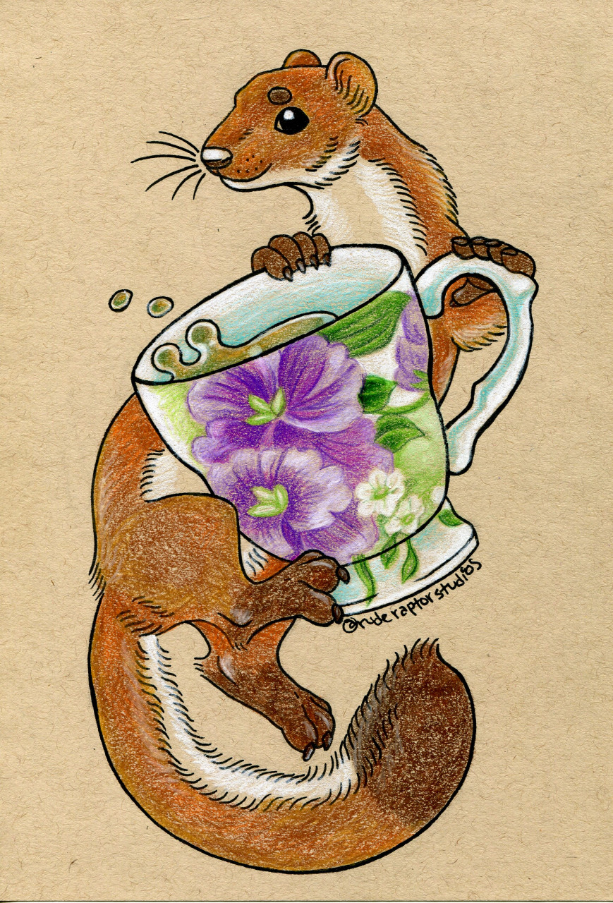 Ychan - r - weasels - 145786