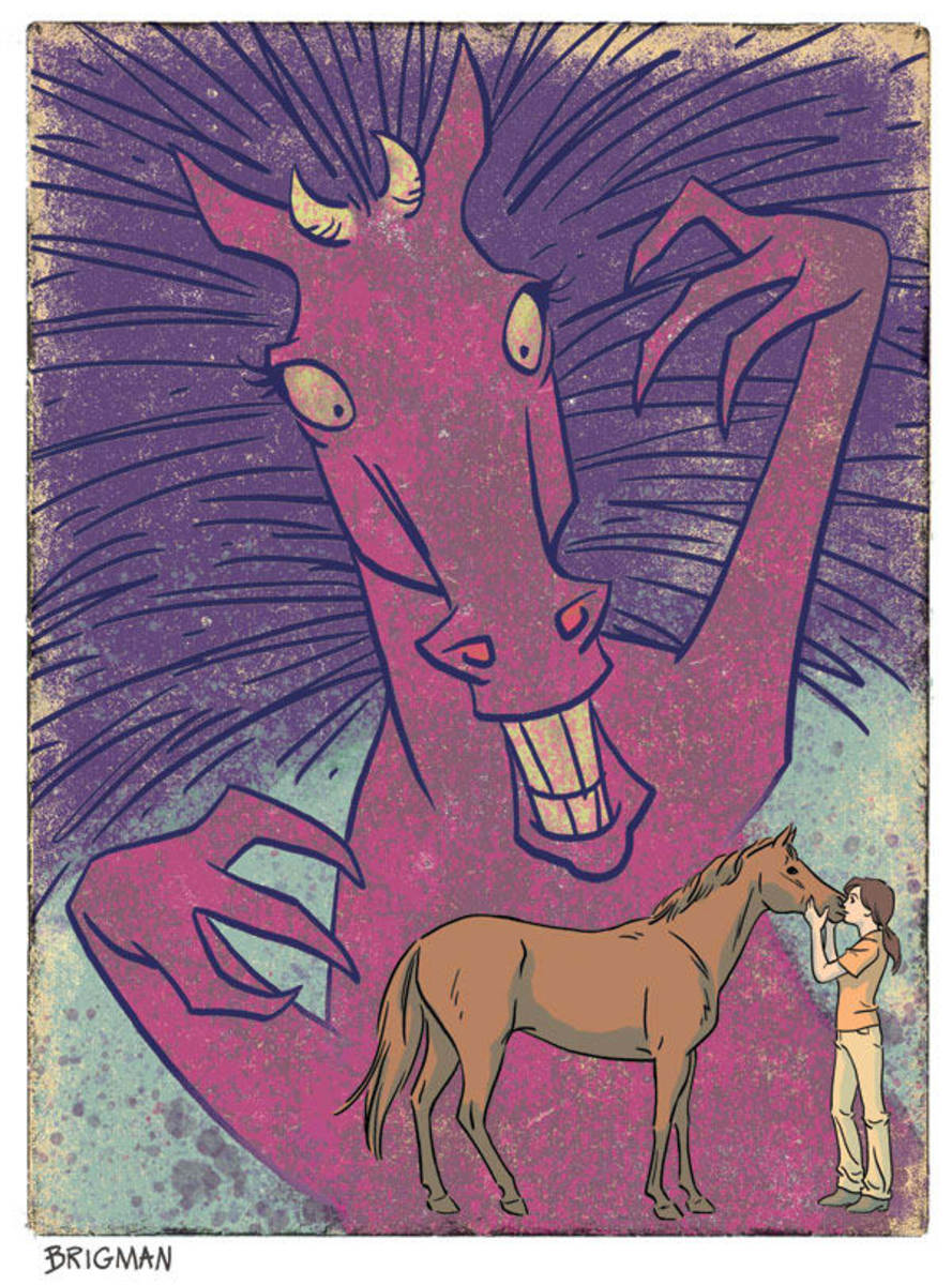 Ychan - f - horses - 146823
