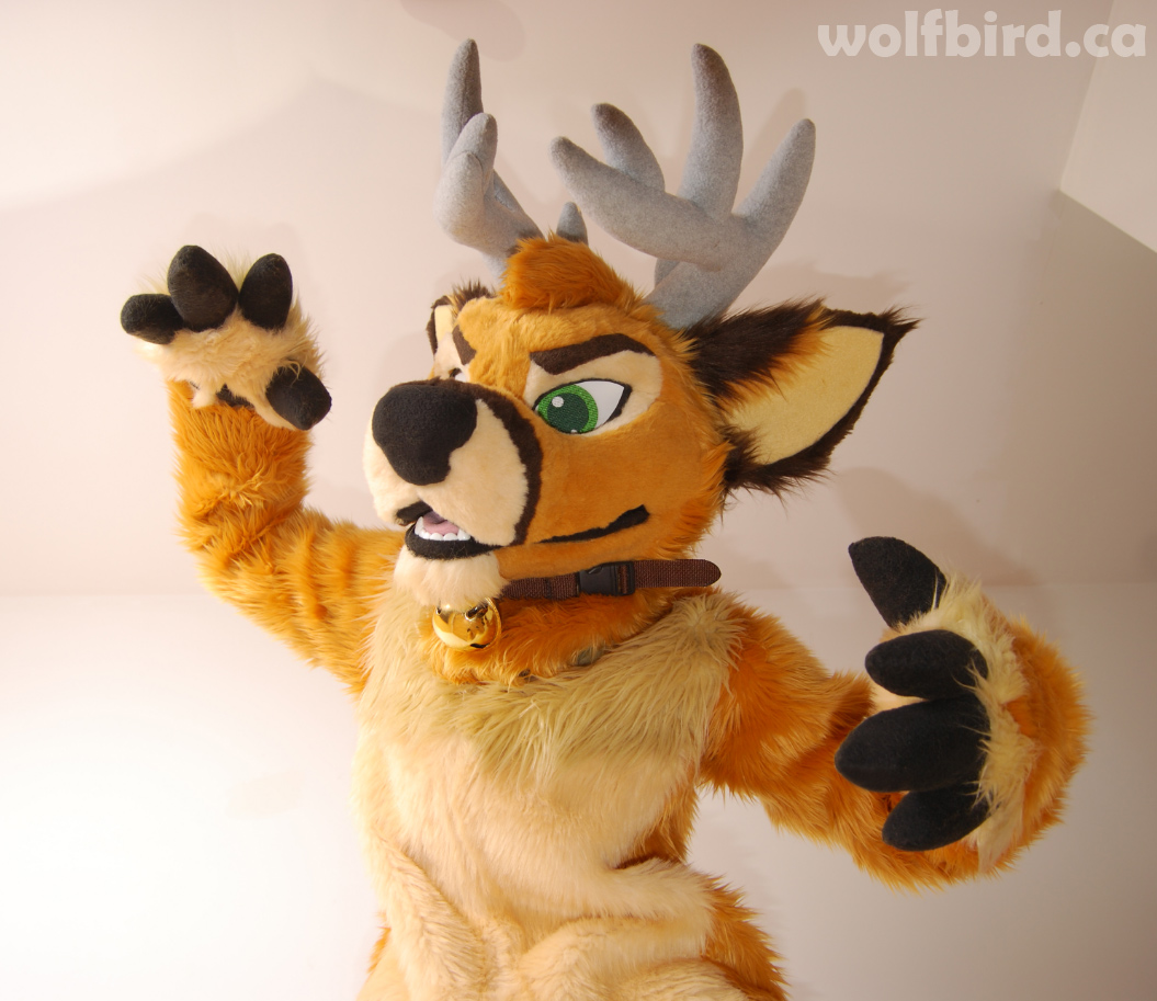 Ychan - rl - random fursuits - 147097