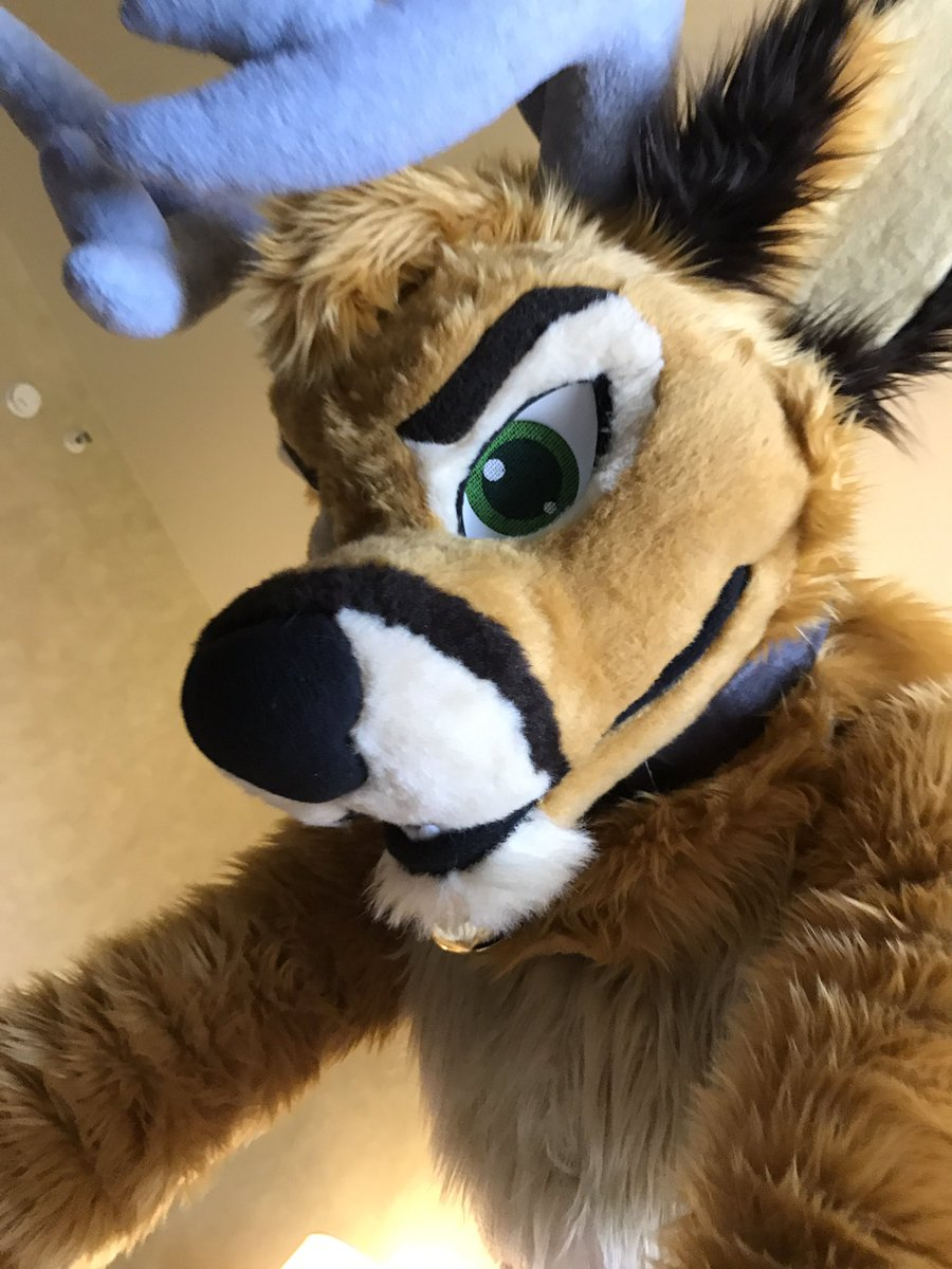 Ychan - rl - random fursuits - 147099