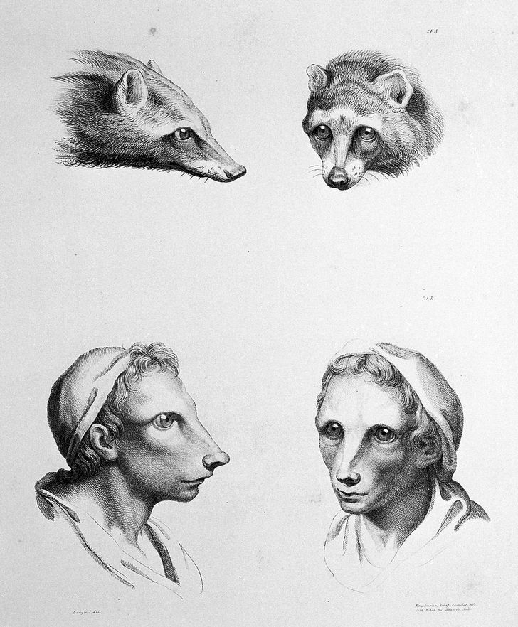 Ychan - r - anthro tutorials - 147570