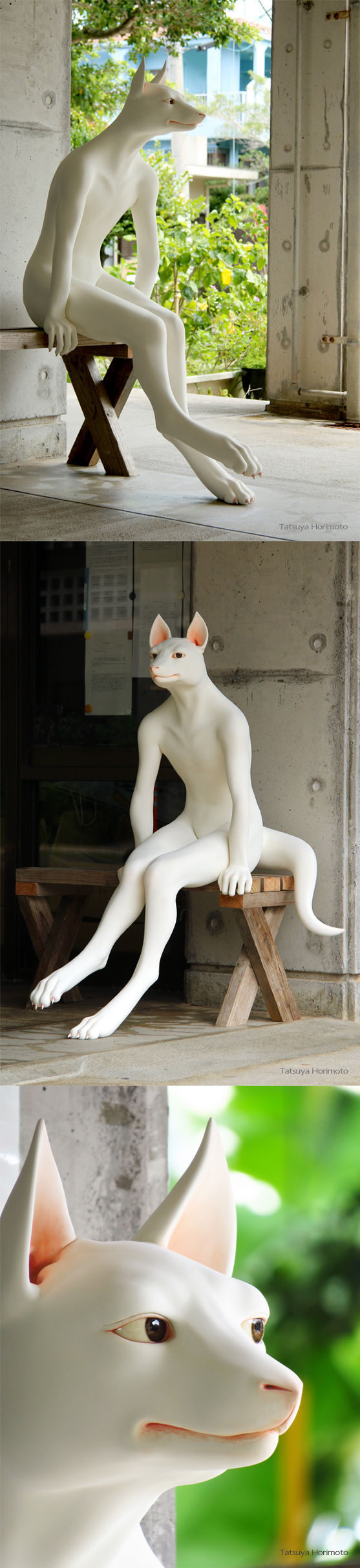 Ychan - r - furry sex dolls - 147719