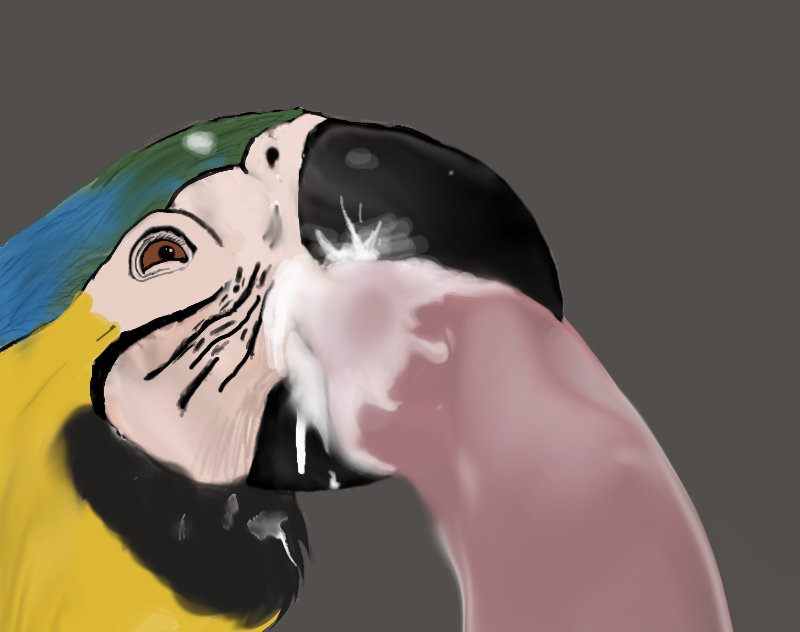 Ychan - ot - shit - 148434