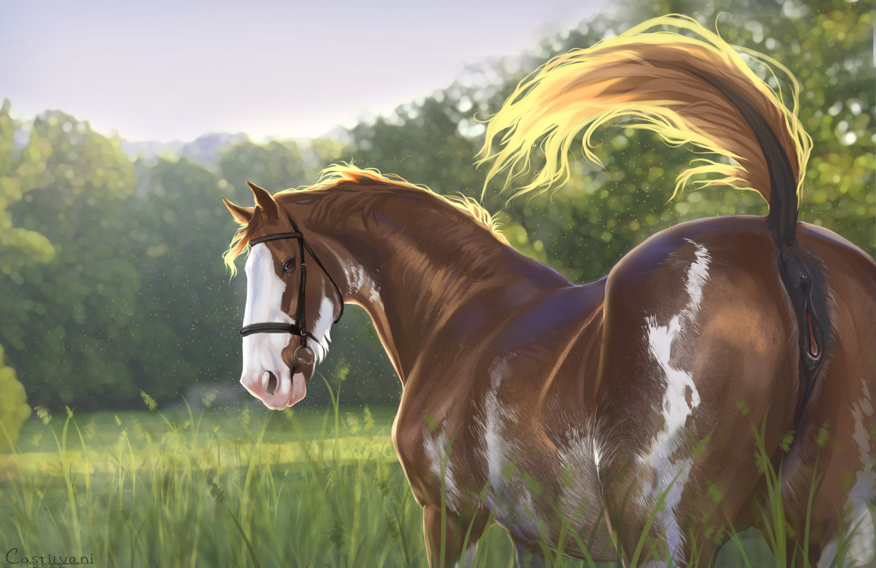 Ychan - f - horses - 148708