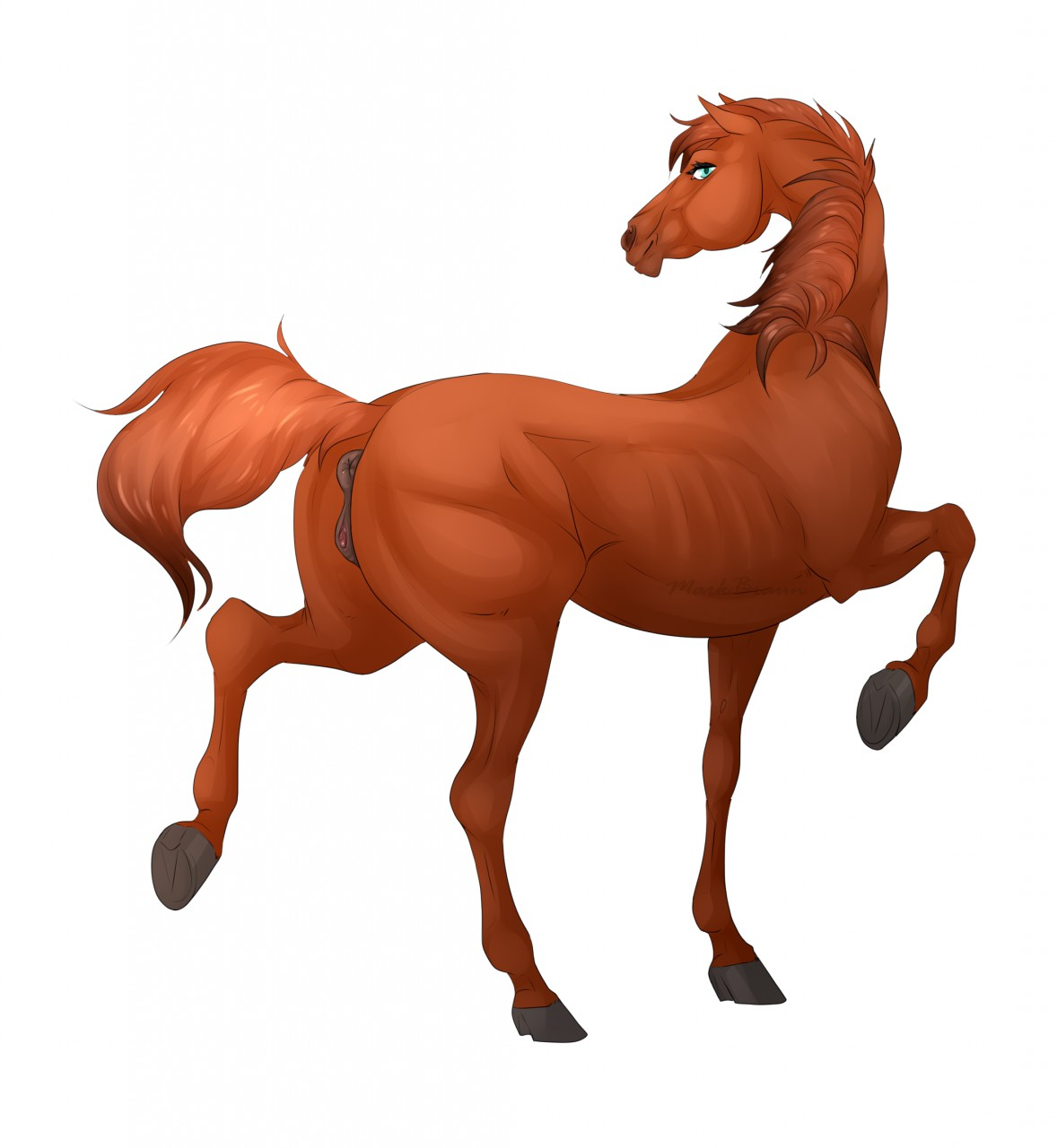 Ychan - f - horses - 148716