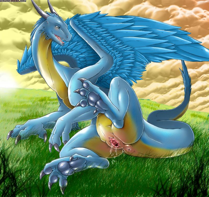 Ychan - f - solo female dragons - 14879