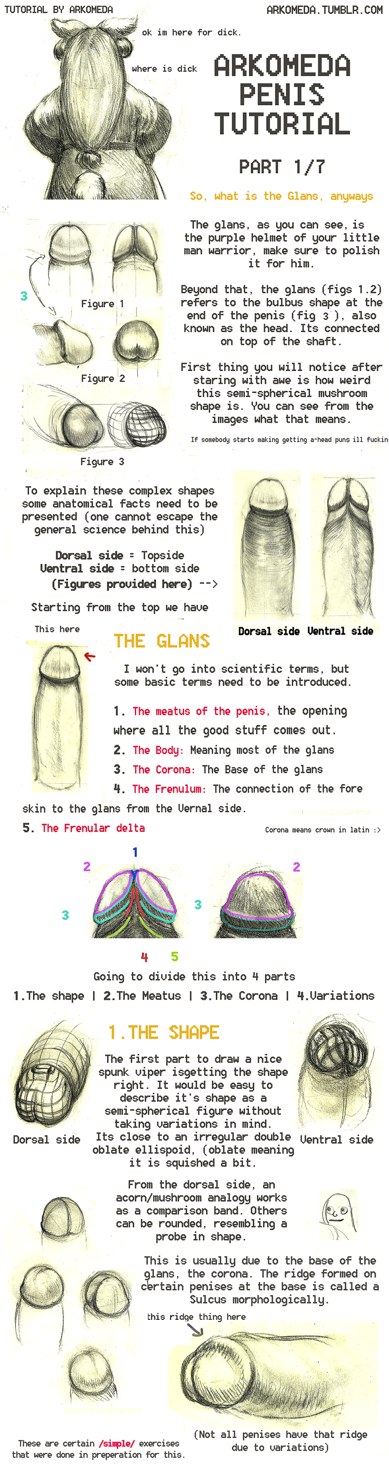 Ychan - r - anthro tutorials - 151432