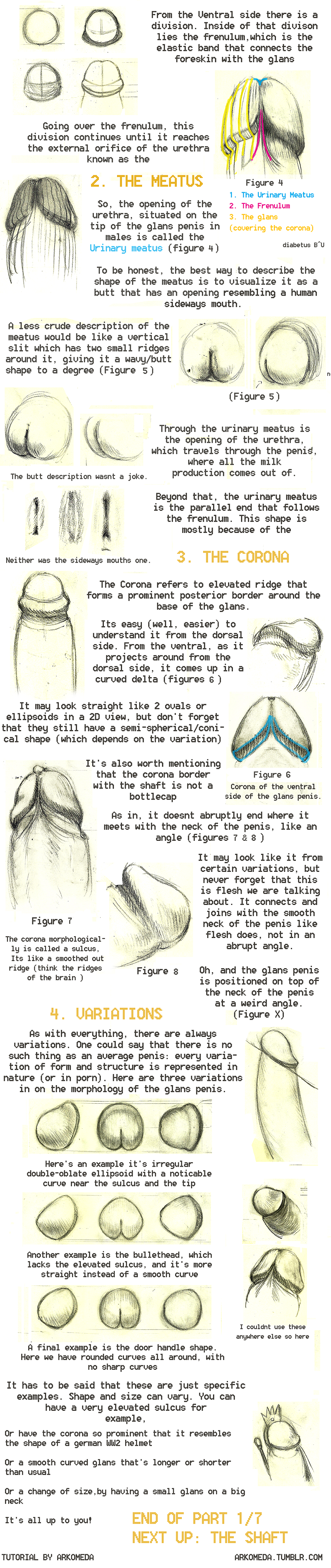 Ychan - r - anthro tutorials - 151433