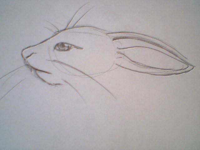 Ychan - r - anthro tutorials - 151527