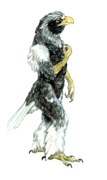 Ychan - f - avians - 153863
