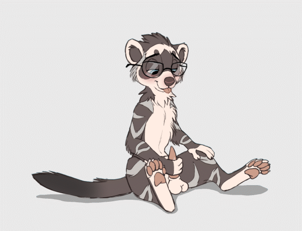 Ychan - m - ferrets-weasels males   i need - 154053