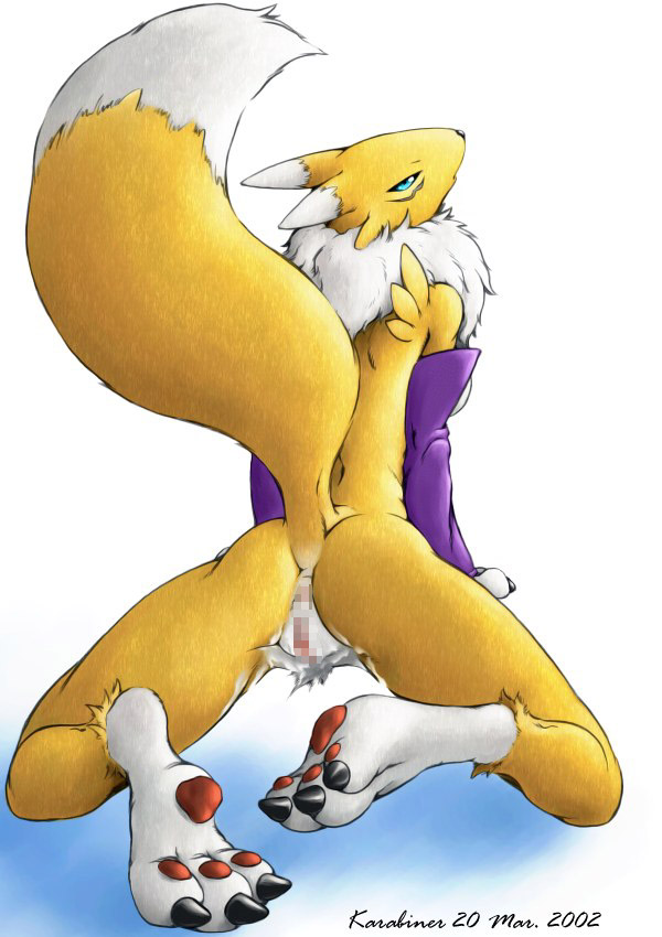 Ychan - f - renamon - 1571