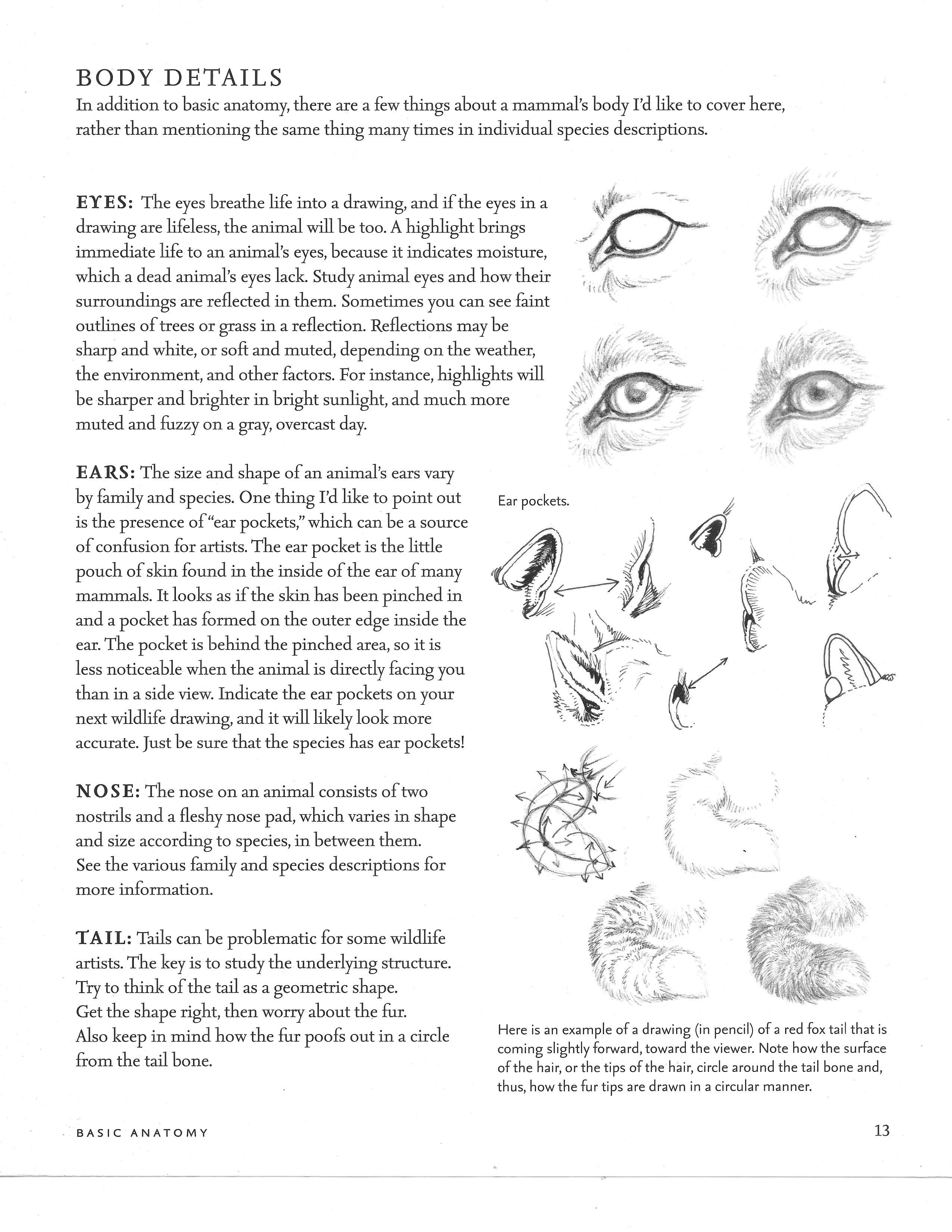 Ychan - r - figure drawing - 157883