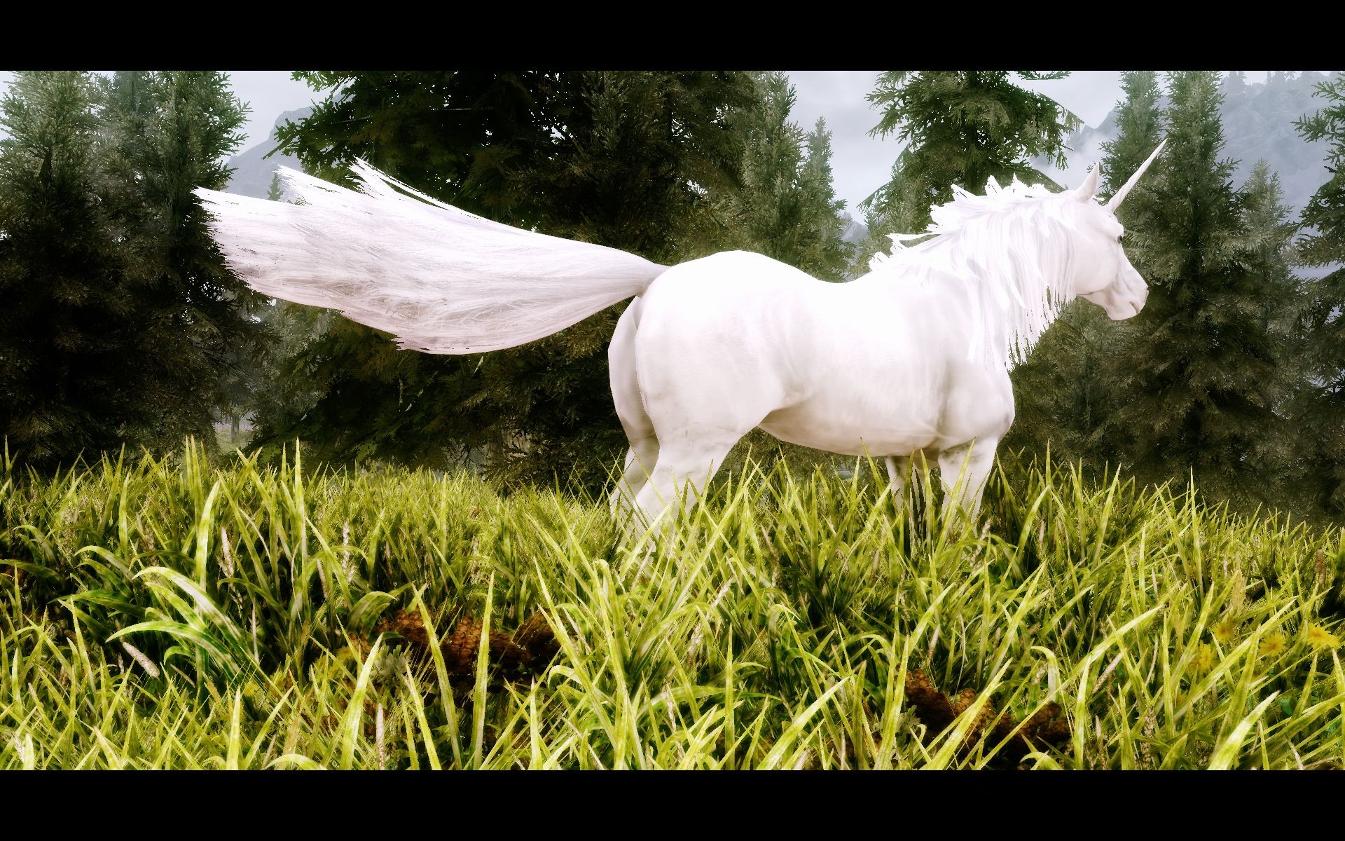 Ychan - ot - real animals - 158087
