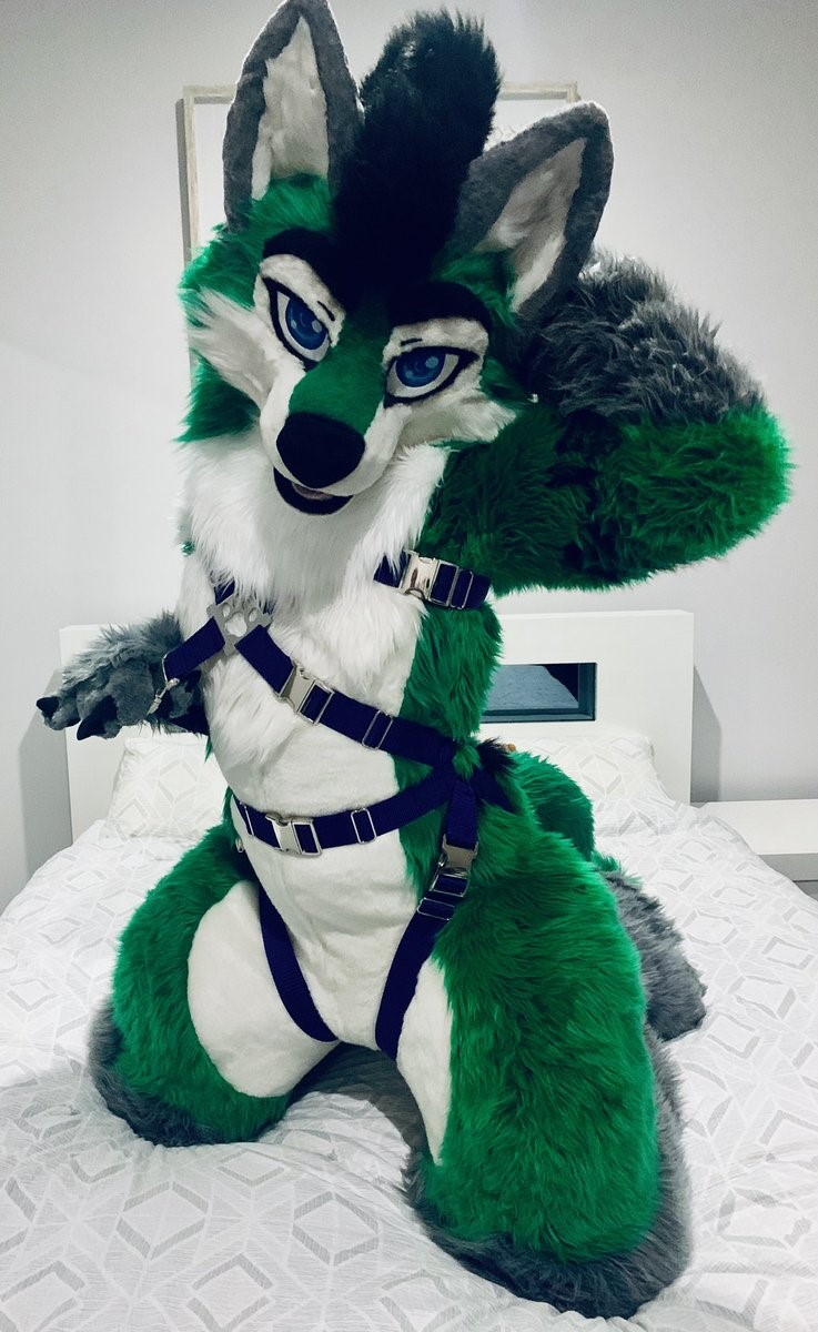 Ychan - rl - random fursuits - 165475