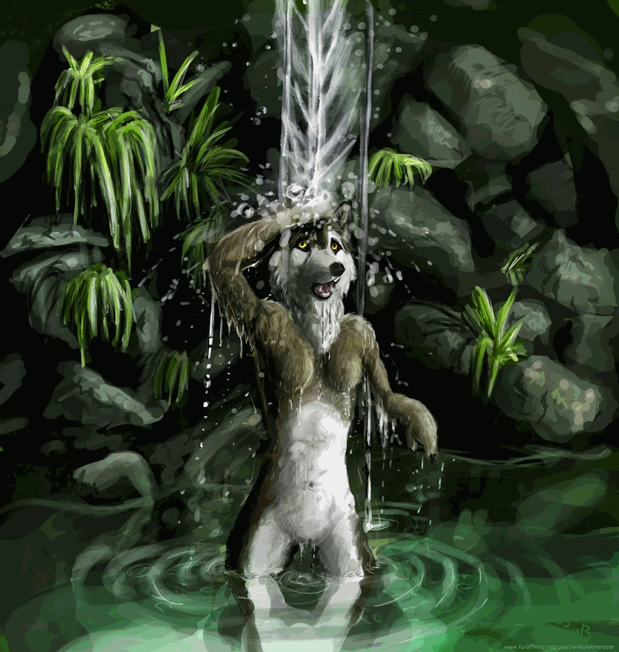 Ychan - f - huskies wolves other canine - 172604