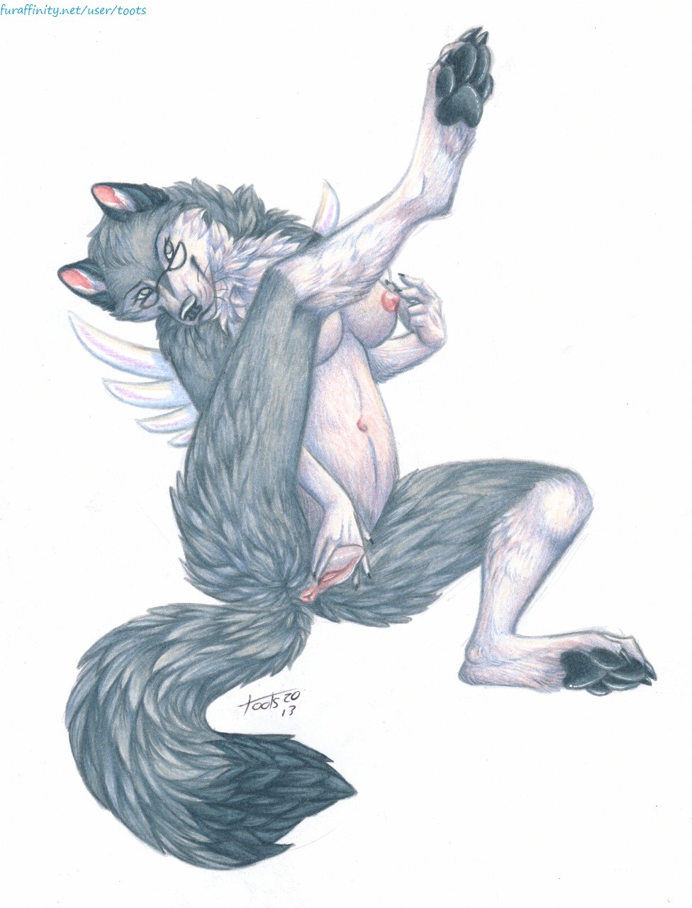 Ychan - f - huskies wolves other canine - 172611
