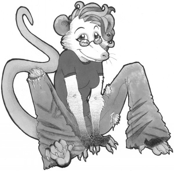 Ychan - f - opossum - 172799