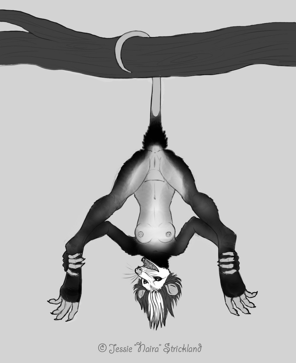 Ychan - f - opossum - 172830
