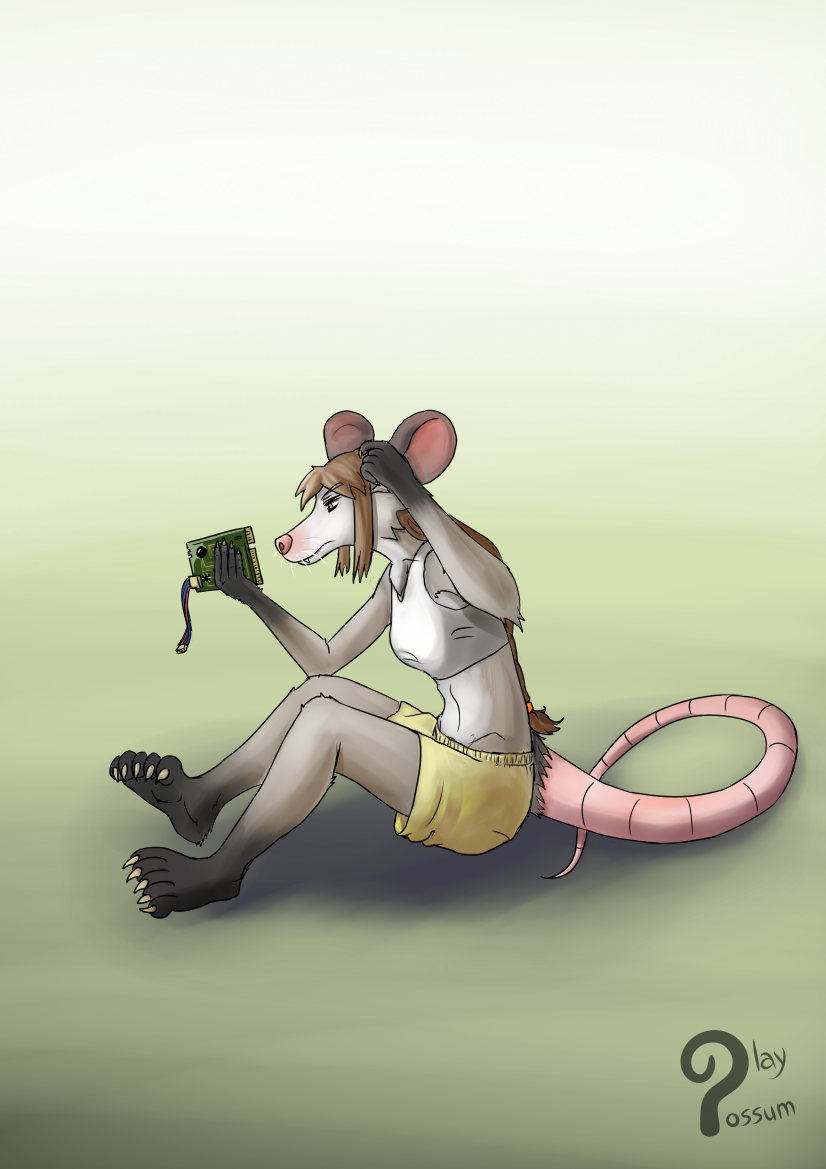 Ychan - f - opossum - 172846