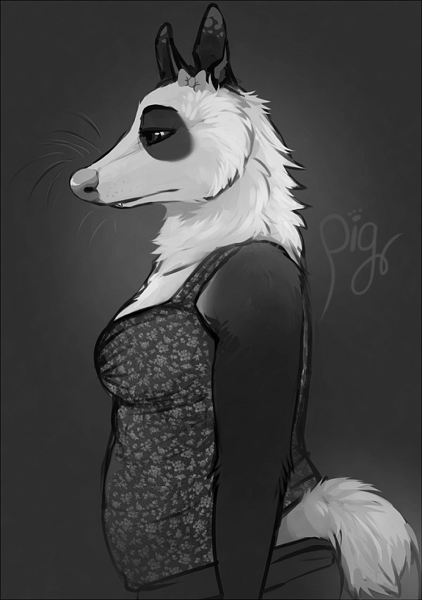 Ychan - f - opossum - 172906