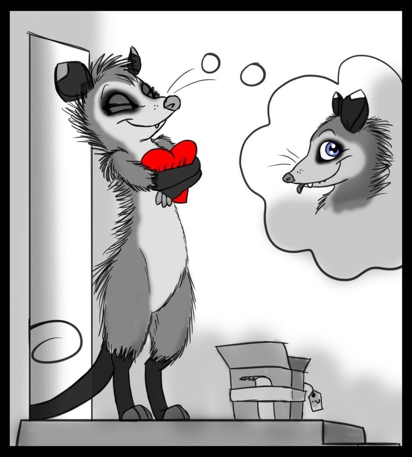 Ychan - f - opossum - 172945