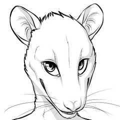 Ychan - r - rodent - 172990