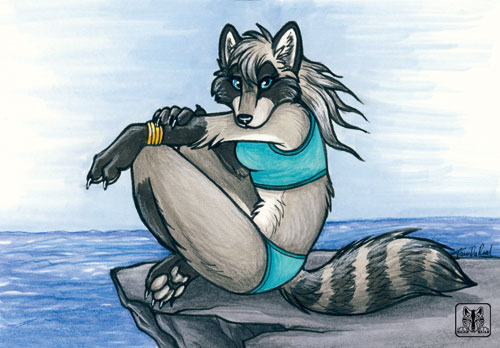Ychan - f - raccoons - 173022