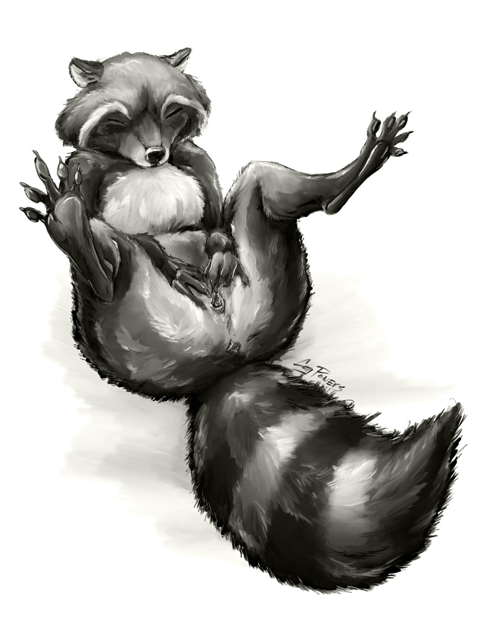 Ychan - f - raccoons - 174541