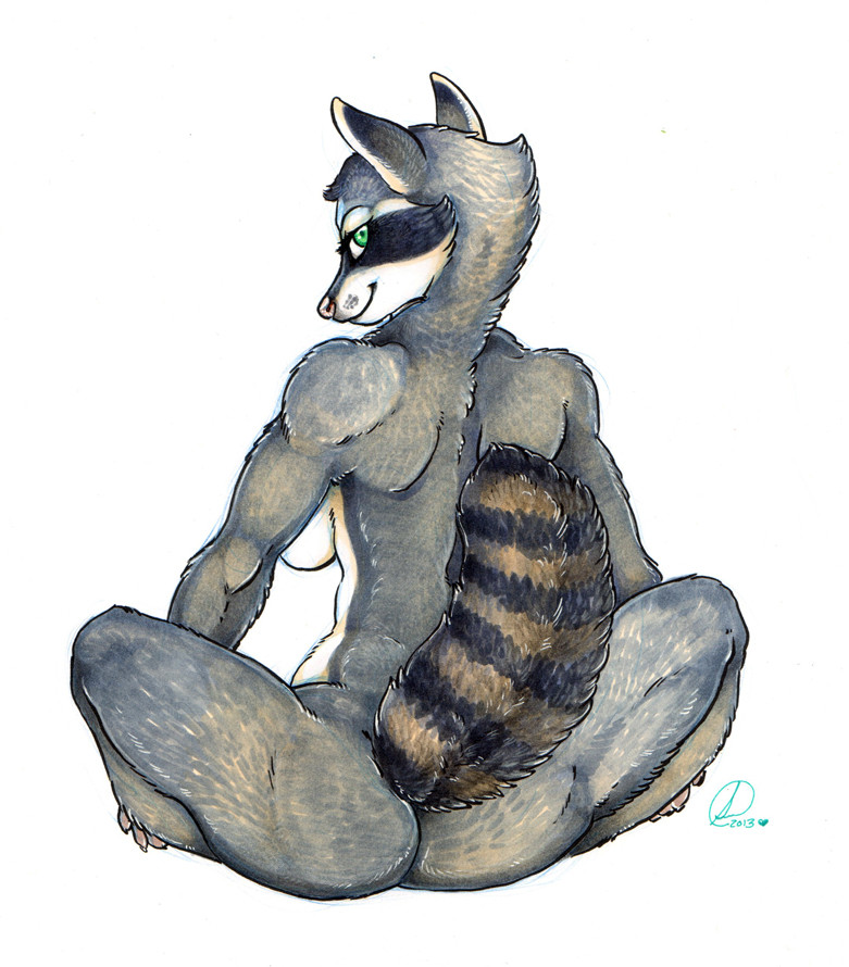 Ychan - f - raccoons - 174562