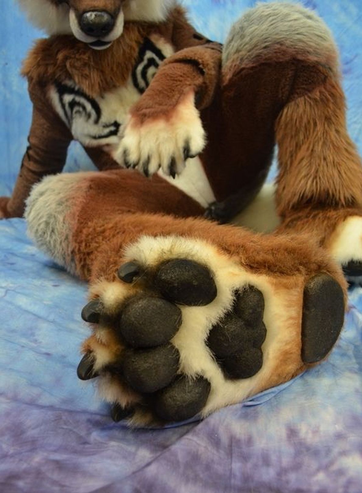 Ychan - rl - random fursuits - 174885