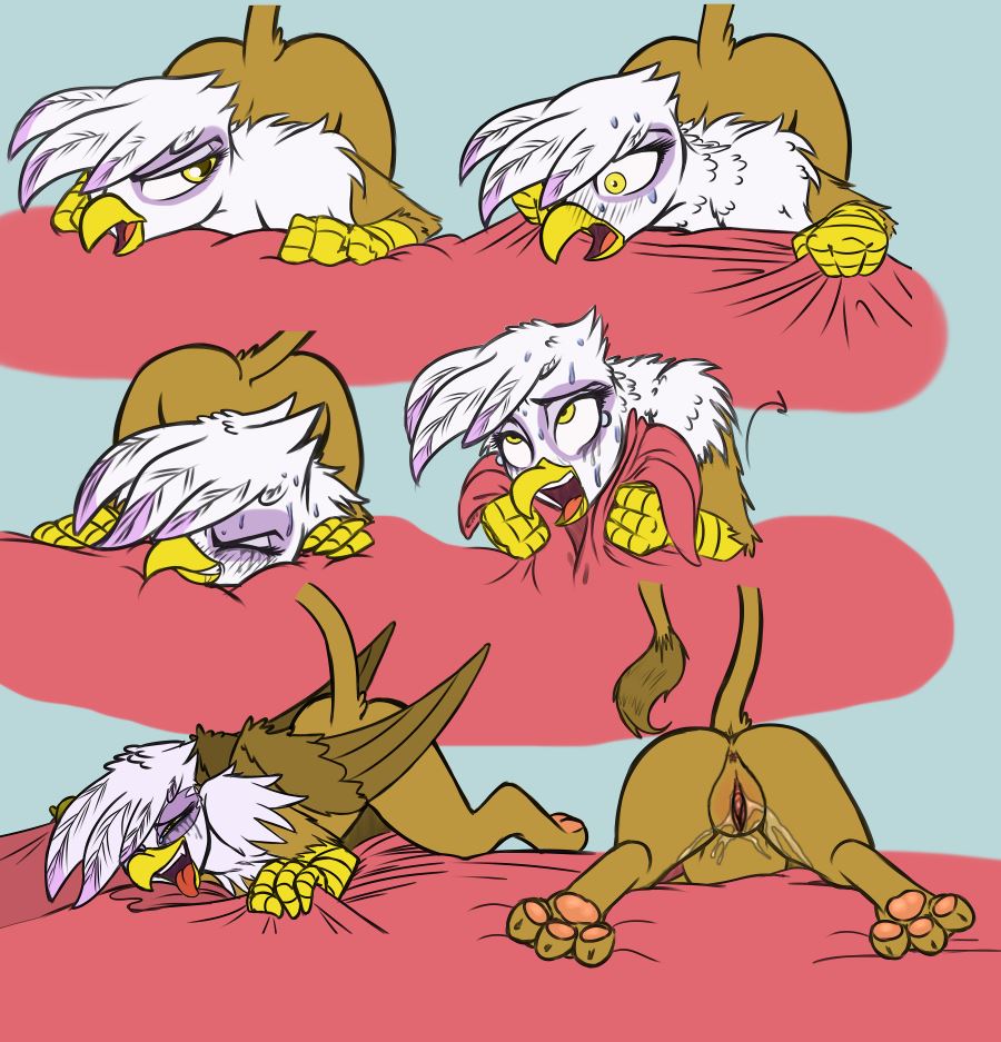 Ychan - f - gryphons - 175328