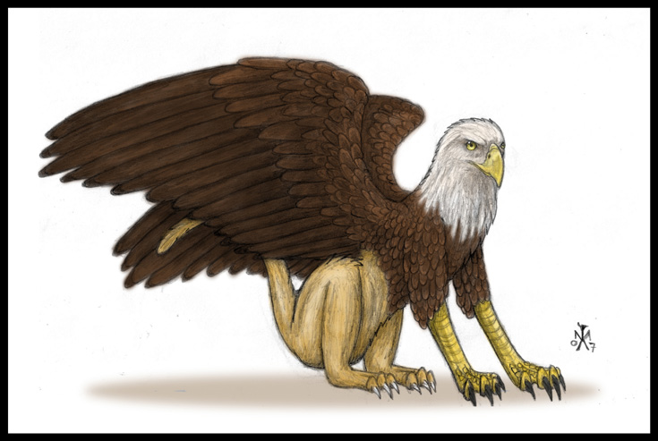 Ychan - f - gryphons - 183191