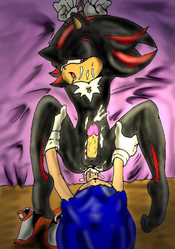 Ychan - r - shadow the hedgehog (gay) - 18468
