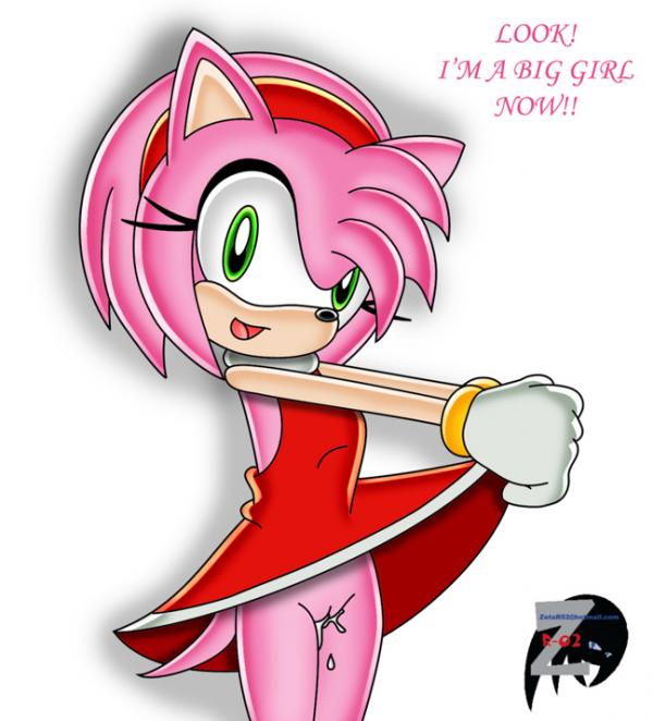 Ychan - r - amy rose - 18673