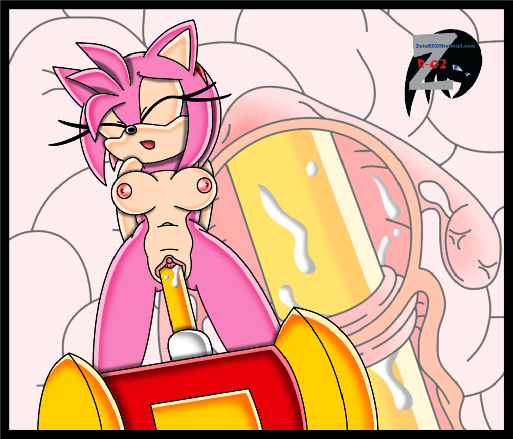 Ychan - r - amy rose - 18677