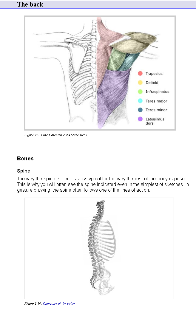 Ychan - r - anthro tutorials - 190013