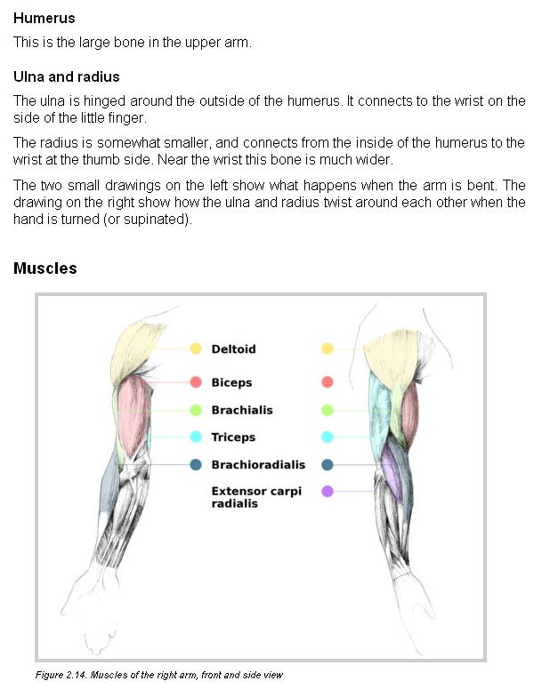Ychan - r - anthro tutorials - 190017