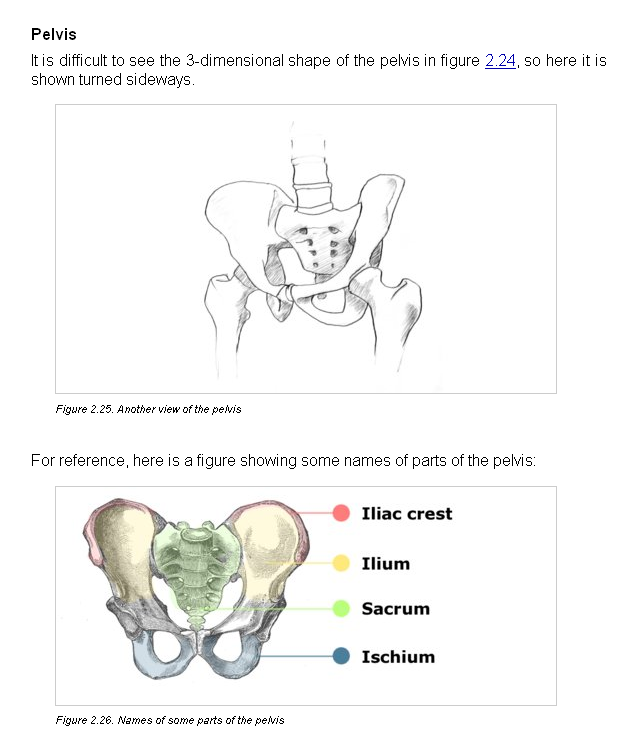 Ychan - r - anthro tutorials - 190030